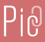 Logo for PicLink Camera