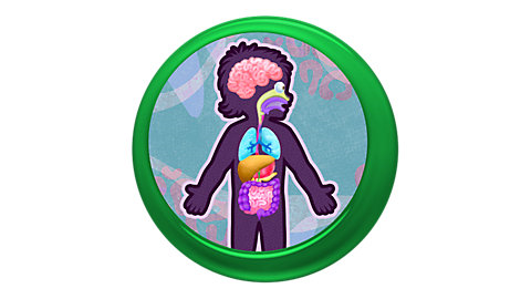 Logo for The Human Body Game: LeapTV Edition