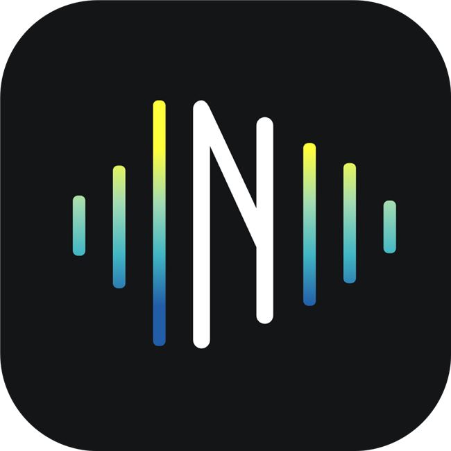 Logo for NoiseGate
