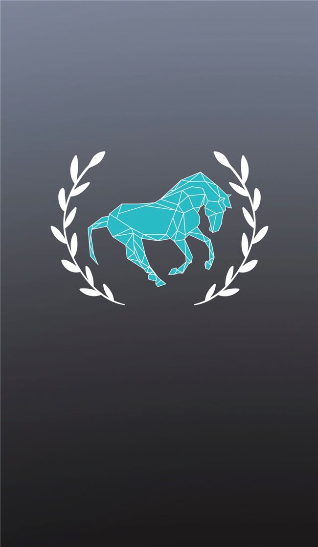 Logo for Australian Equestrian Comps