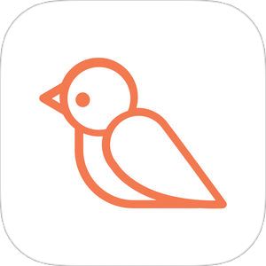 Logo for birdegreetings