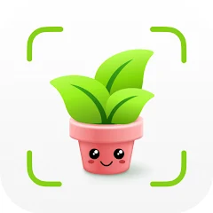 Botan App Review: Plant Identification and Care Tool